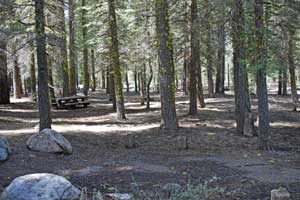 Clark Fork Campground