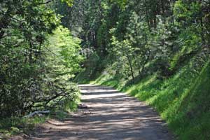 Hiking Trail at Confidence