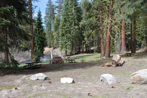 Cottonwood Creek picnic area on the Clark Fork