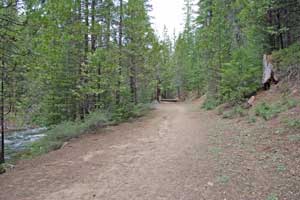 Mountain biking trail near Strawberry 