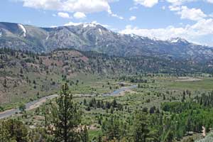 Photo of the Leavitt Meadow