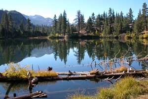 photo of Roosevelt Lake