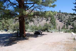 Sonora Bridge Campground, Humboldt-Toiyabe National Forest, California