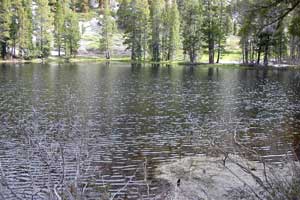 Boulder Lake, Carson-Iceberg Wilderness, California