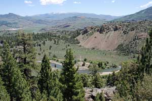 Photo of Pickel Meadow and Leavitt Meadow