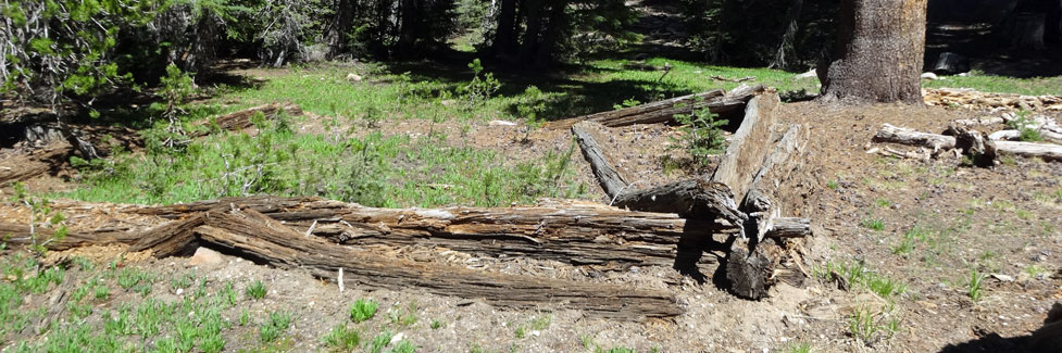 Ruins of Gianelli's cabin, Emigrant Wilderness, California