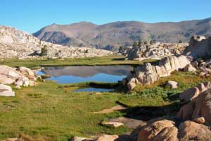 High Emigrant Meadow