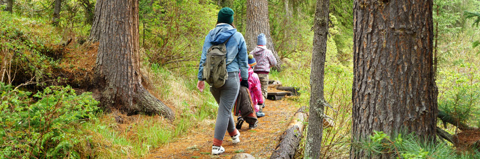 family walking on forest trail