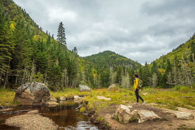 Hiker on a trail 