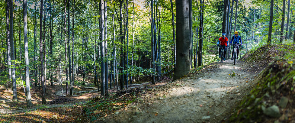 mountain bikers on mountain trail