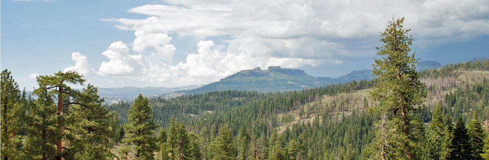 Dardanelles, Stanislaus National Forest, California