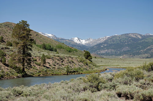 Pickel Meadow, Mono County, California