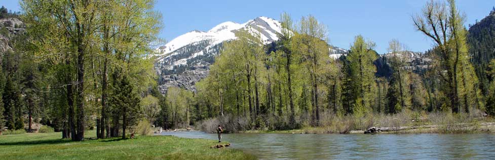 Kennedy Peak, Stanislaus National Forest, California