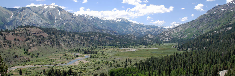 Leavitt Meadow, Humboldt-Toiyabe National Forest, California